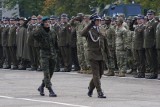Centrum Szkolenia Wojsk Lądowych w Poznaniu świętuje swoje 20-lecie. Pokazano Abramsa i Żmiję! [ZDJĘCIA]