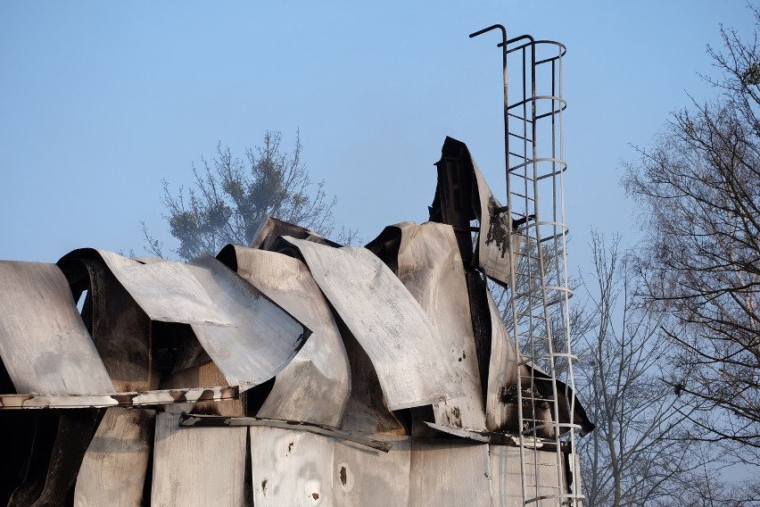 Wielki pożar na Grunwaldzie. Spłonęła Jump Arena