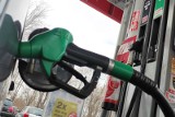 Co z cenami paliw na stacjach benzynowych? Eksperci wskazują na „niepokojący trend". Skutkiem może być podwyżka cen ropy nawet o 40 proc.