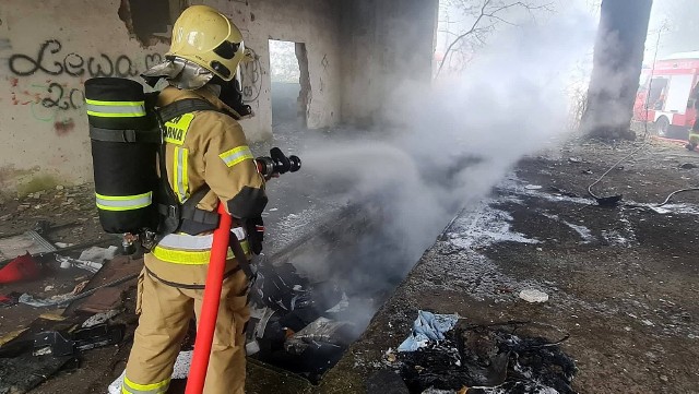 Strażacy dostali informację o pożarze w nieczynnej i opuszczonej hali, na terenie byłej cegielni w Murzynowie. Paliły się m. in. porzucone w tym miejscu stare części samochodowe. Z ogniem walczyli strażacy z JRG Międzyrzecz i OSP Skwierzyna i OSP Murzynowo.Pożar wybuchł w niedzielę, 16 stycznia, około południa. Na terenie byłej cegielni paliły się części samochodowe, porzucone na terenie jednej z opuszczonych hal. Jak informują strażacy, było to już drugie takie zdarzenie w tym miejscu. Po ugaszeniu pożary i dogaszeniu pogorzeliska strażacy wrócili do swoich jednostek. Polecane: Ogromny pożar kamienicy w centrum Zielonej Góry. Spłonęło poddasze budynku przy ul. Wąskiej. 