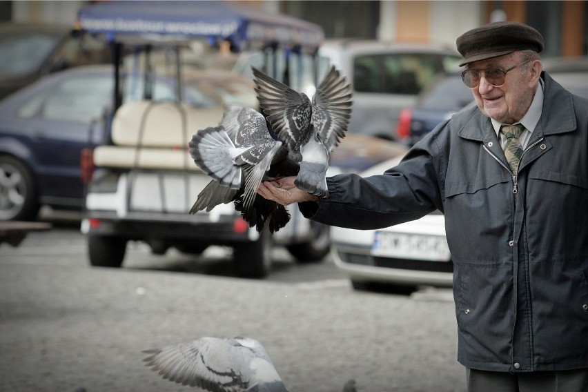 Dokarmianie ptaków to błąd! Możemy wyrządzić im krzywdę [FOTO]