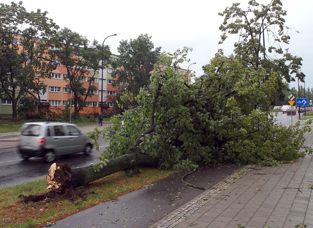 Burze i deszcze z gradem to wszystko może w nocy z piątku na sobotę dać się we znaki mieszkańcom kujawsko-pomorskiego. Strefa burz będzie się przemieszczała z zachodu na wschód województwa.