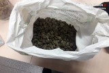 25-latek z Dąbrowy Górniczej miał ponad 300 gramów marihuany