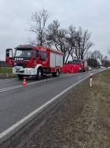 Śmiertelny wypadek koło Skierniewic. W Pamiętnej samochód roztrzaskał się na drzewie. Policjanci ustalają tożsamość ofiary 6.03.2022