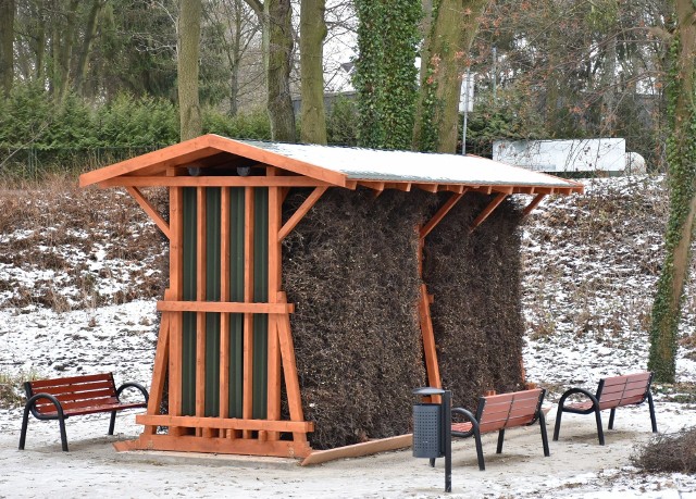 W grudniu druga tężnia w Malborku stanęła w parku miejskim. Solanka może zagrozić 110-letnim drzewom?