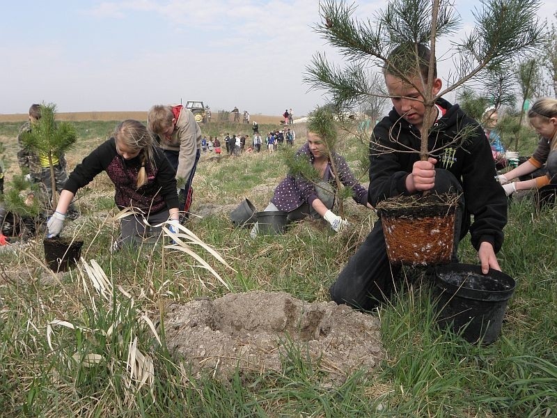 Wielka akcja sadzenia drzewek w Kołodziejewie. Uczniowie tworzą remizy [zdjęcia]