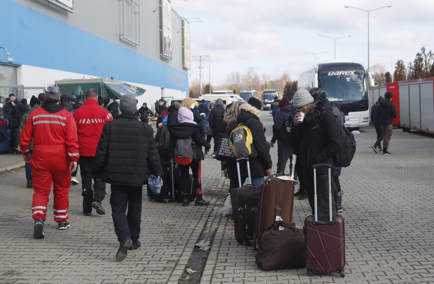W Hali Kijowskiej w Młynach koło Korczowej coraz więcej uchodźców. Nie tylko z Ukrainy [ZDJĘCIA]