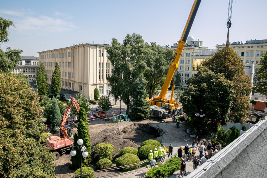 Kraków. Jednak da się w mieście przesadzić wielkie drzewo, zamiast go wyciąć. W Warszawie też potrafią. Czy za AGH pójdą inni?