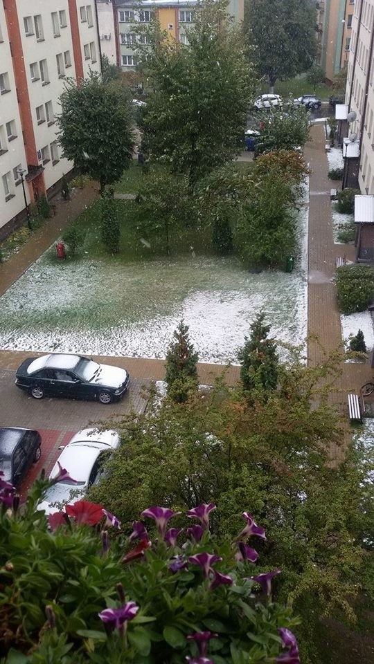Śnieg w Janowie Lubelskim