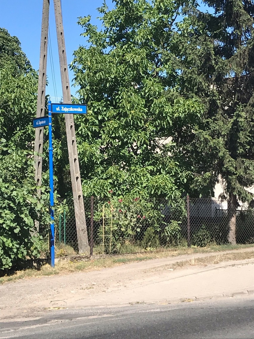 Organizacja ruchu zastępczego na ul. Zajączkowskiej będzie...