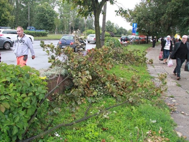 Konary, które odłamała wichura wciąż leżą na ulicy Tarnowskiej koło Targowiska Miejskiego w Kielcach.