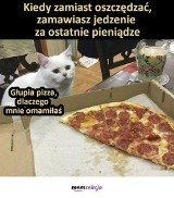 Najśmieszniejsze memy o pizzach. Międzynarodowy Dzień Pizzy po Tłustym Czwartku? To szaleństwo!