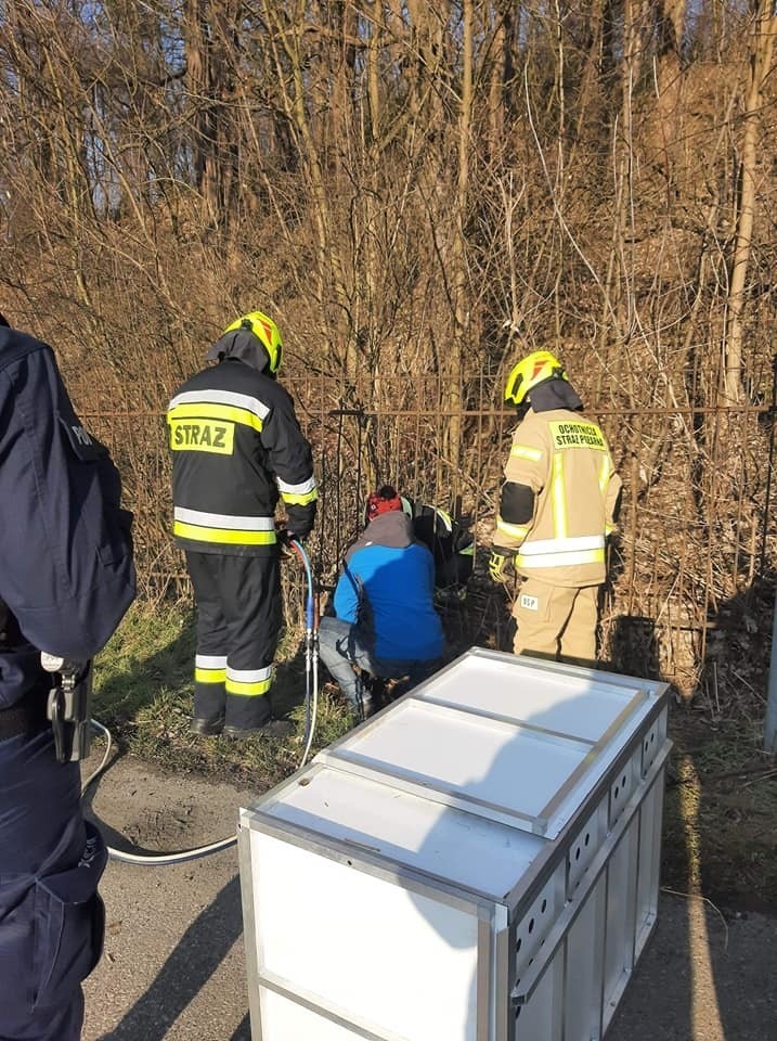 Strażacy z OSP Michałowice ratują sarnę, która utknęła...