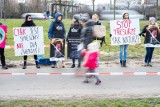 Zoo Poznań ratuje tygrysy. Natomiast pod M1 ma gościć cyrk. Czy będą pokazy dzikich zwierząt? 