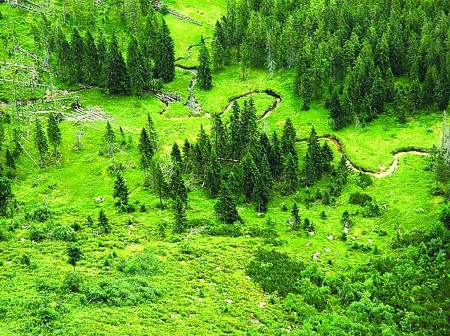 Meandry Łaby w Karkonoszach.