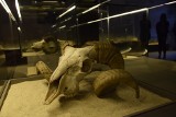 „Bliskie, lecz z dalekiego świata..." Nowa wystawa archeologiczna w Muzeum Śląskim ZDJĘCIA