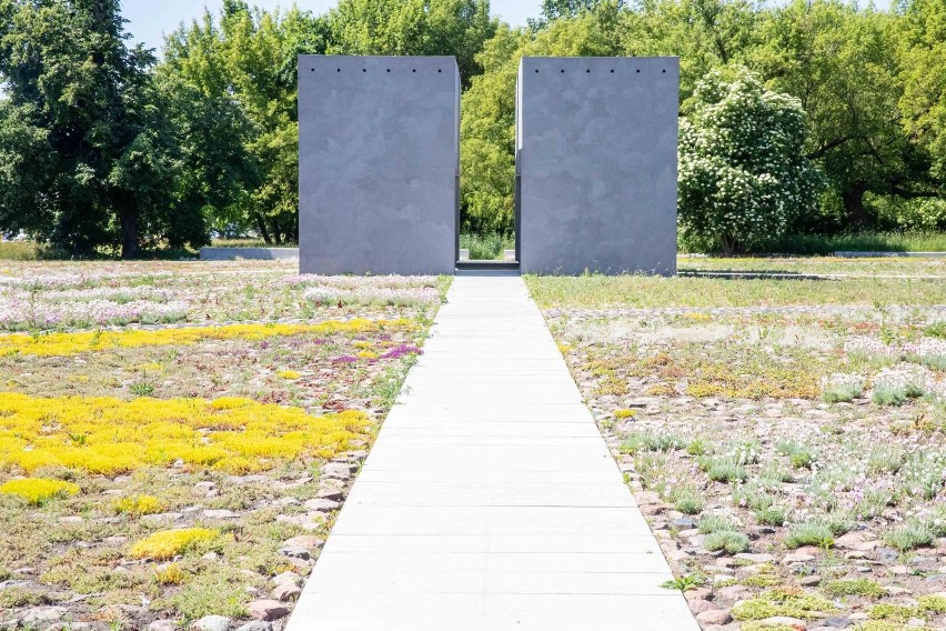 Zakończyły się prace konserwujące monument na Rynku Siennym....