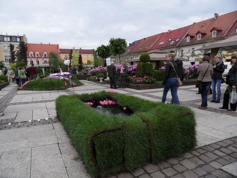 Daisy Days w Pszczynie: Ekspozycja ogrodów na rynku