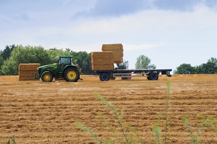 Norwegowie chcą u nas produkować prąd ze słomy! Kupią ją od rolników