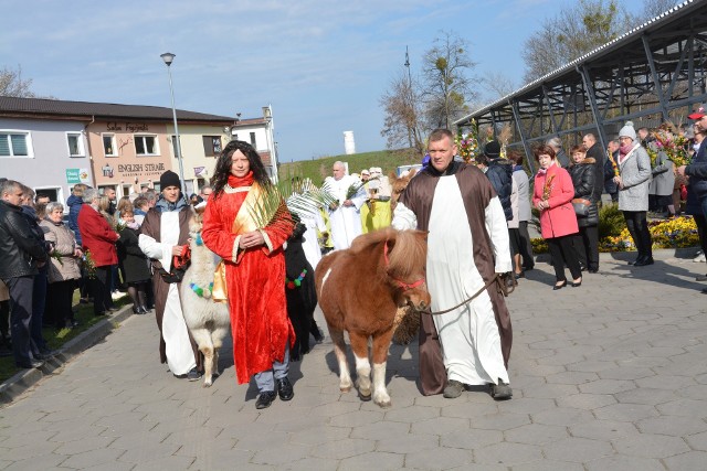 Wzorem lat ubiegłych w Niedzielę Palmową Centrum Kultury i Sztuki wspólnie z sępoleńską parafią zorganizowali inscenizację symbolicznego wjazdu Jezusa do Jerozolimy. Mieszkańcy Sępólna ruszyli w barwnym korowodzie z targowiska Mój Rynek poprzebierani za lud Izraela. W wydarzenie włączyli się  pracownicy CKiS, wolontariusze, aktywni emeryci, czyli aktorzy teatru „Bakro“, dzieci i chętni mieszkańcy. W rolę Jezusa wcielił się Kacper Gładych. Korowód prowadziła Młodzieżowa Orkiestra Dęta pod przewodnictwem kapelmistrza Mariana Kukowskiego. W korowodzie można było dostrzec ogromne, kolorowe palmy, które są dziełem pań instruktorek animacji społecznej ze świetlic wiejskich. Misterium Niedzieli Palmowej odbywa się w wielu miastach na znak rozpoczęcia Wielkiego Tygodnia. PiS obiecuje: 500 plus na pierwsze dziecko, "13" emerytura dla najstarszych