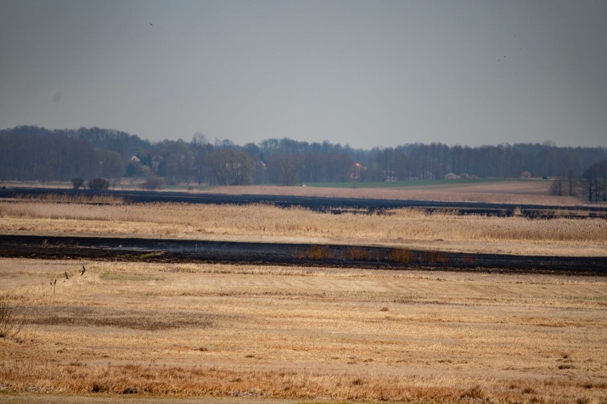 Pożar Biebrzańskiego Parku Narodowego