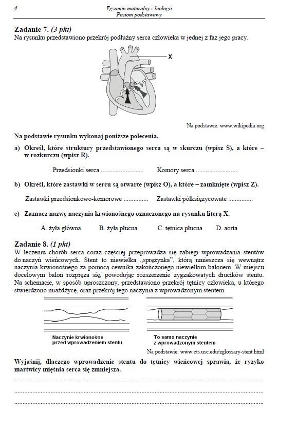 MATURA 2013 BIOLOGIA: ODPOWIEDZI, mamy ARKUSZE [poziom podstawowy]