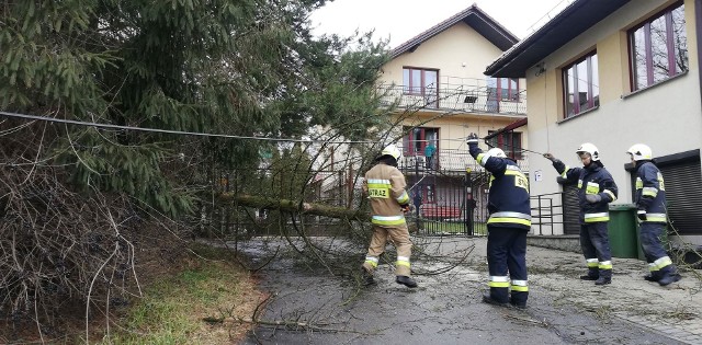 Orkan Sabina wyrządził w powiecie sporo szkód