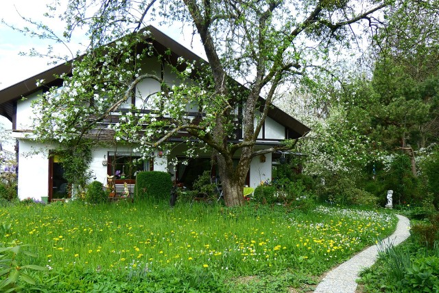 Bydgoszcz, Pieczyska, Wierzchucinek, Samociążek, Bożenkowo, Nekla, Tryszczyn... W galerii zamieszczamy kilkanaście ofert sprzedaży działek ROD. Pod zdjęciami znajdziesz ceny oraz najważniejsze informacje na temat wystawionych na sprzedaż działek. Ogłoszenia pochodzą z portalu otodom.pl. Przejdź do kolejnych zdjęć, by przeglądać. ▶▶