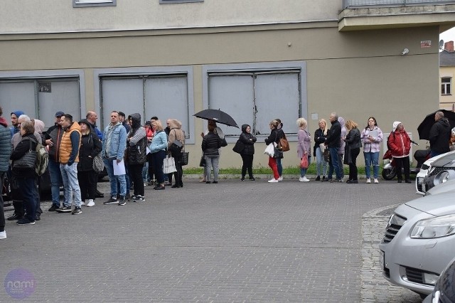 Tak wyglądała kolejka przed ratuszem we Włocławku w pierwszym dniu przyjmowania wniosków.