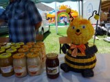 Święto Miodu i Dzień Pszczelarza w Pszczółkach