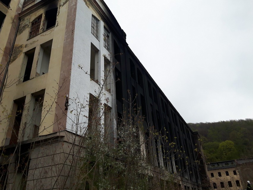 Pożar strawił część opuszczonej fabryki lnu w...