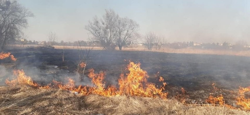 Na kolejnych slajdach zobacz w których gminach naszego...