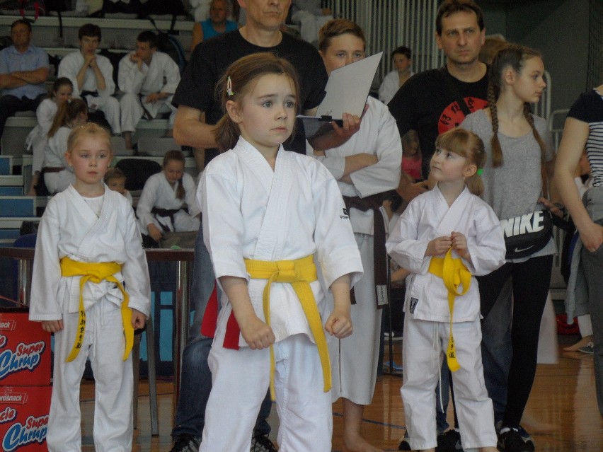 Bytom: Silesia Cup 2016 karate w Hali na Skarpie