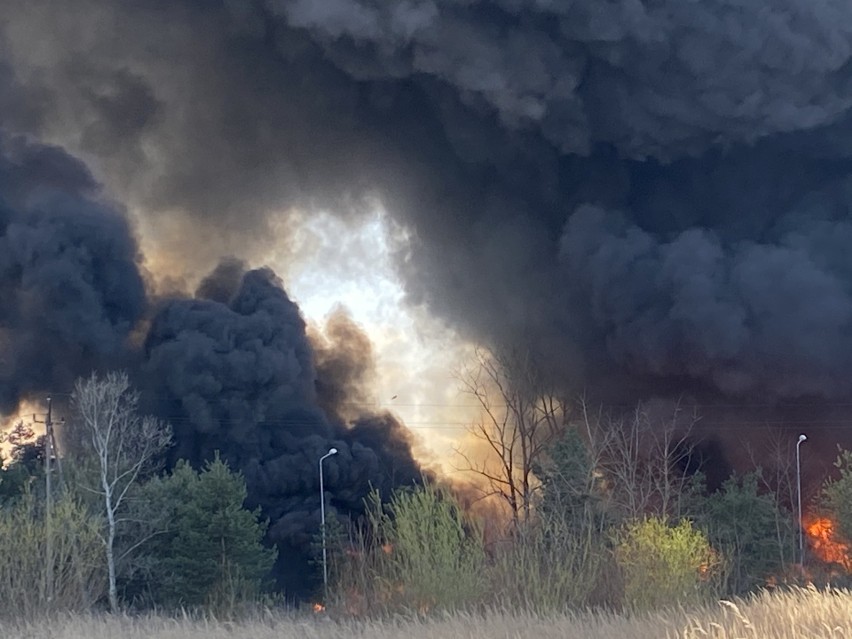 Wielki pożar w Nowinach koło Kielc. W. Pali się...