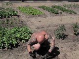 Skazani zakładają za murami więzień ogrody z warzywami i kwiatami (zdjęcia)