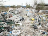 Ekologiczna bomba w Nowinach. Firma utylizacyjna znikła, zostały tony śmieci i poufne dokumenty (WIDEO, zdjęcia)