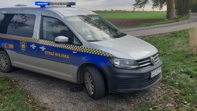 Rozebrany i zmarznięty stał w Raduni w Gdańsku. Okazało się, że poszukuje go rodzina