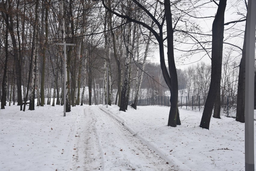 Rewitalizacja Parku Furgoła kosztowała ok. 8,7 mln zł.