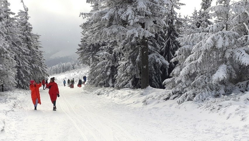 TOP 10 szczytów w Beskidach na początek zimy, które można zdobyć łatwo, szybko i przyjemnie