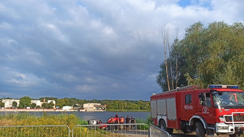 Gryfino również sprząta Odrę. Strażacy usuwają śnięte ryby 