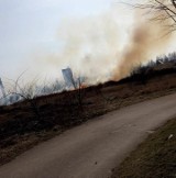 Małopolska zachodnia. Płonęły trawy, seria podpaleń. Obyło się bez ofiar [ZDJĘCIA]