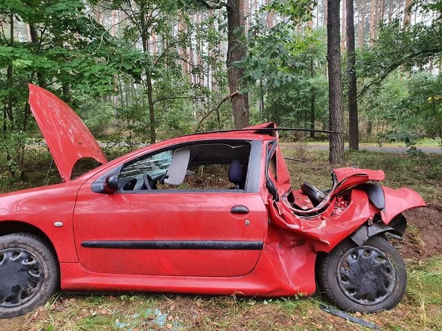 Przyczyną zdarzenia było niedostosowanie prędkości kierowcy do warunków panujących na drodze.