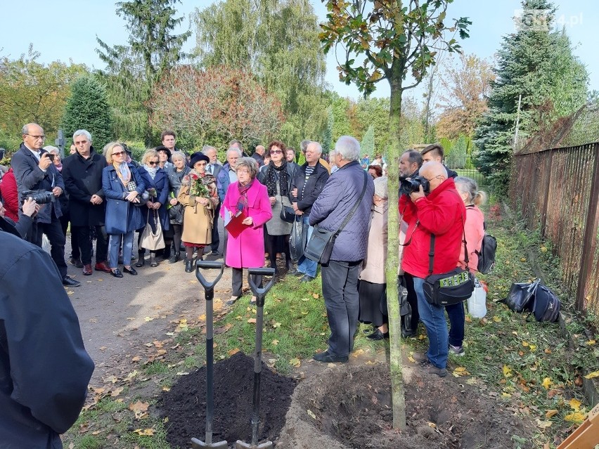 Cmentarz Centralny w Szczecinie: Posadzili wyjątkowe drzewa