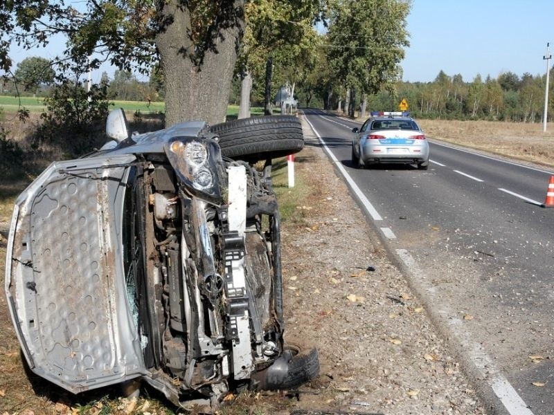 dachował na drodze krajowej nr 19