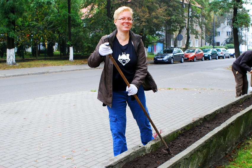Bytom: Społecznicy zmieniają miasto. Dziś posadzili rośliny w pustych donicach przed Becekiem