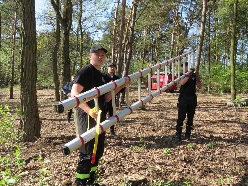 Prace na starym cmentarzu w Jelnej - Baranówce koło Nowej...