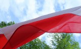 Polskie symbole 11 listopada, czyli flaga, godło i barwy narodowe. Jak się nimi posługiwać?