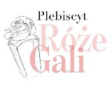 "Róże Gali". Retransmisja z ceremonii wręczenia nagród w TVP2