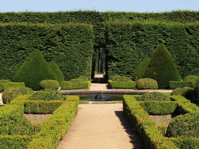 W ogrodzie w stylu francuskim najważniejsza jest symetria i geometryczne układy.