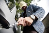 Lubelscy policjanci zatrzymali złodziei okradających samochody